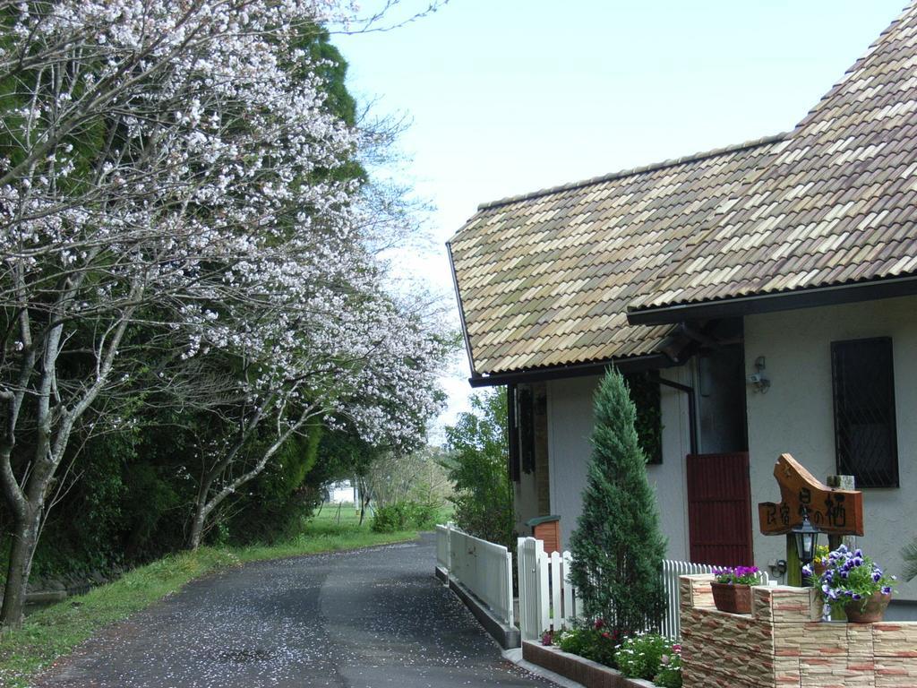 Minshuku Hoshi no Sumika Hotel Shibushi Eksteriør billede